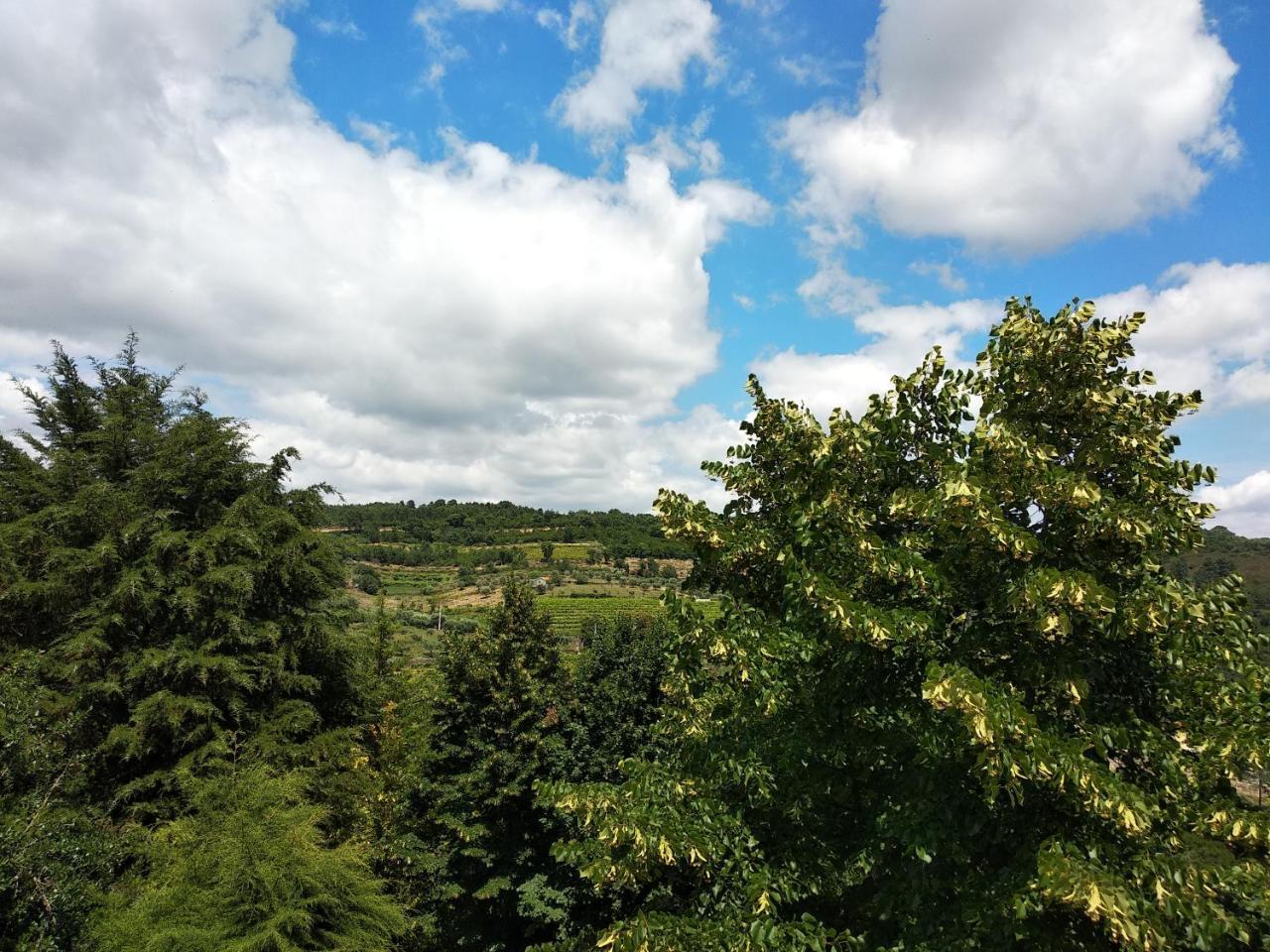 Quinta Da Telheira Hotel Vila Real Kültér fotó